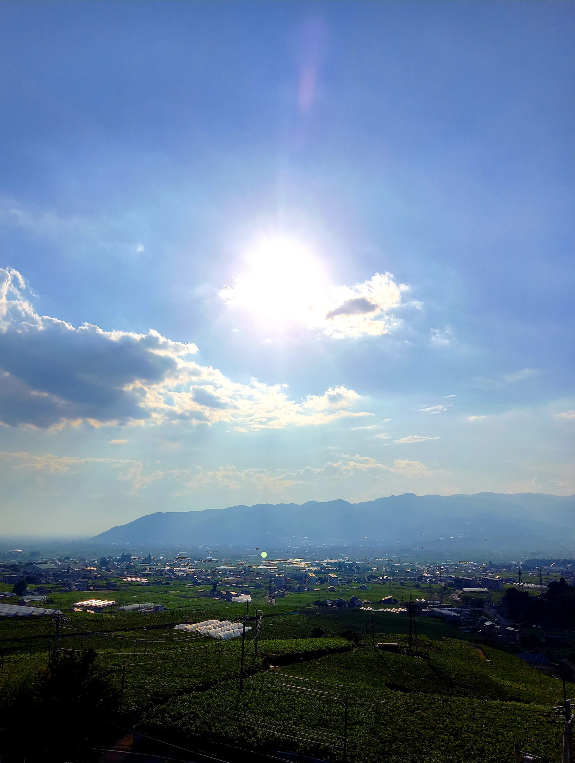 【勝沼で39.2℃】6月の山梨県内の最高気温を更新!熱中症に気を付けて過ごしたいと思います。